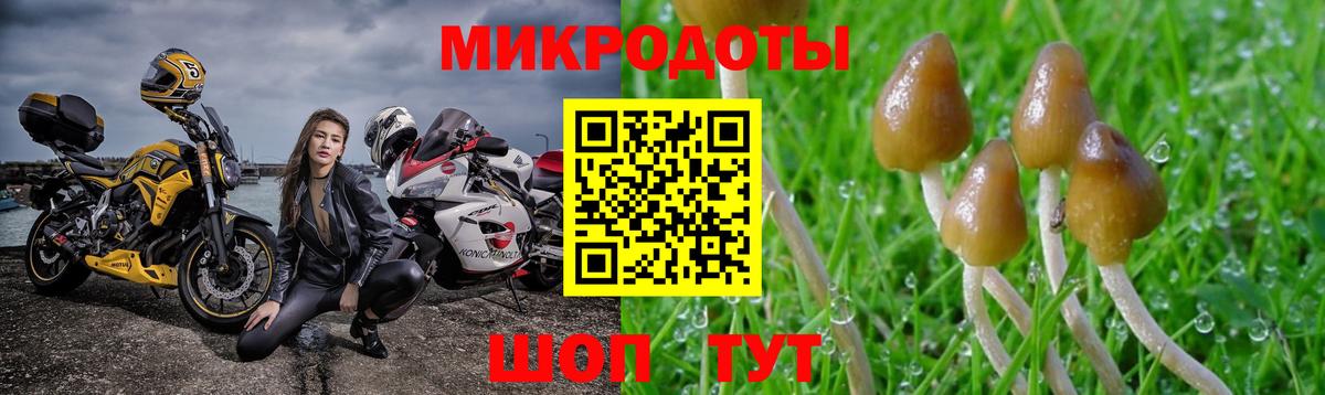 Жуковский  Псилоцибиновые грибы Cubensis  Вход с VPN 